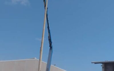 Routine maintenance work for the electricity network and lighting poles continues inside the port of Misurata Free Zone by the technical cadres and engineers of the Facility Operation and Maintenance Department at the Technical Affairs Department.